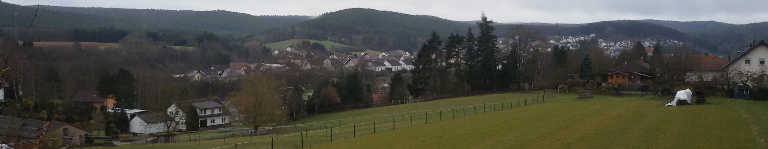 SPD Ortsverein "Willy Brandt" Hochspeyer