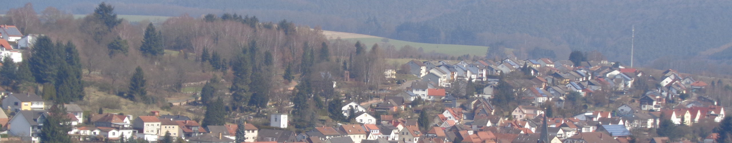 SPD Ortsverein "Willy Brandt" Hochspeyer