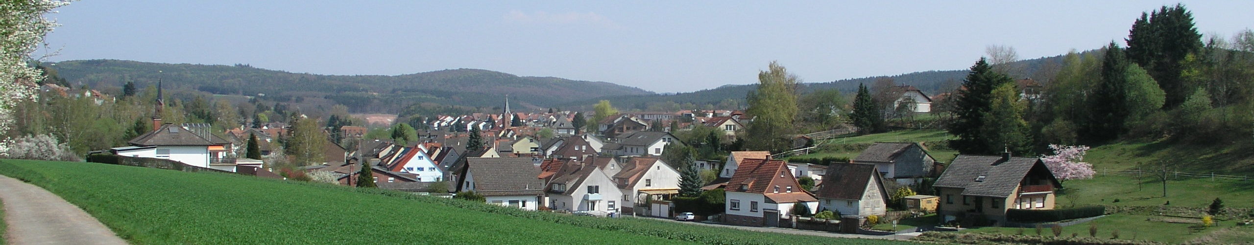 SPD Ortsverein "Willy Brandt" Hochspeyer